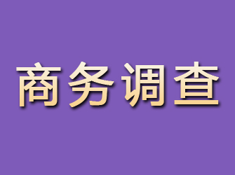 镇平商务调查